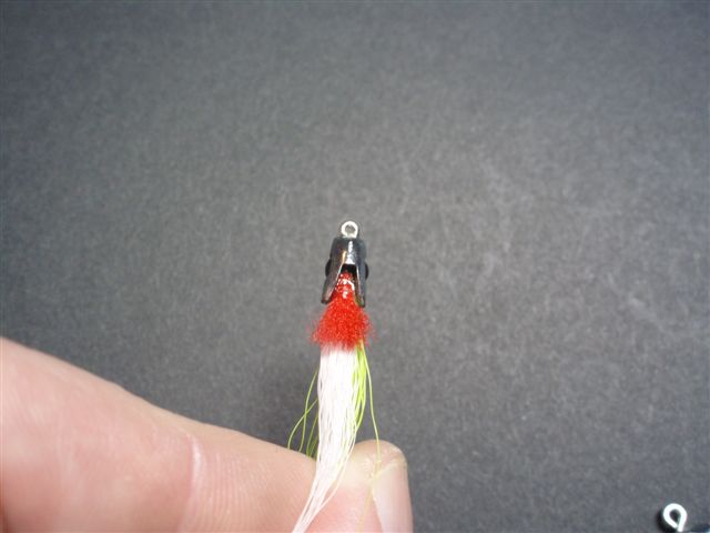 Flies 334.jpg